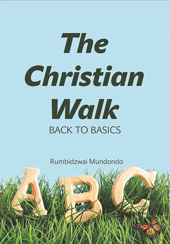 The Christian Walk by Rumbidzwai Mundondo - cover